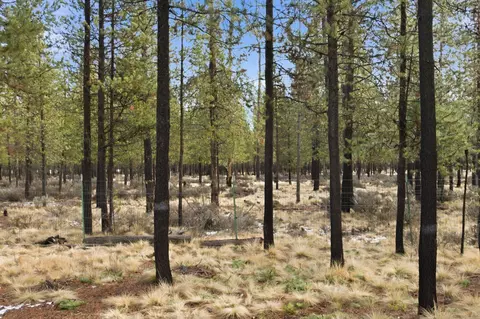 55818 Black Duck Rd, Bend, OR 97707 photo 24