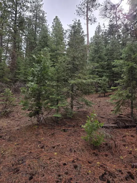 0 E Yak Hwy 140 Ln #LOT 1, Bonanza, OR 97623