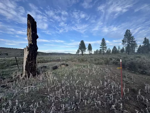 0 Mule Deer Dr #1, Sprague River, OR 97639