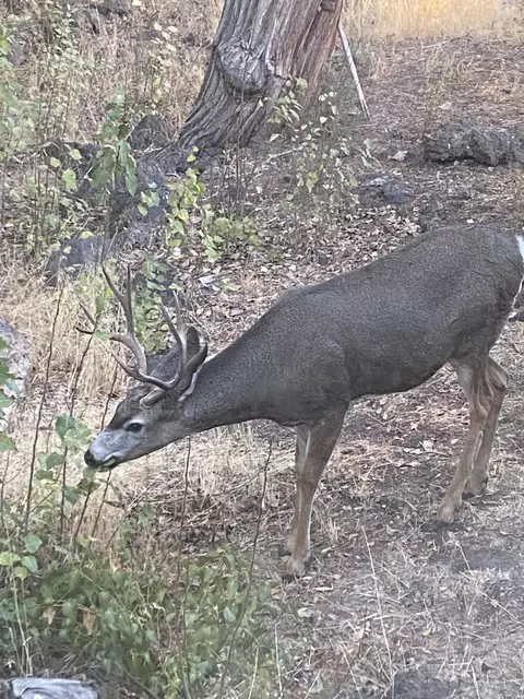 Other - 61212 Obernolte Rd, Bend, OR 97701 photo 4 of 13
