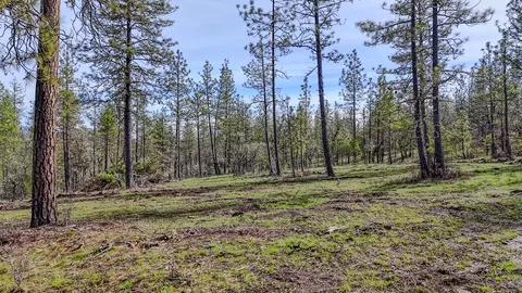 506 Greenleaf Dr, Eagle Point, OR 97524 photo 32