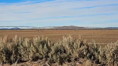 off fossil lake road, Christmas Valley, OR 97641