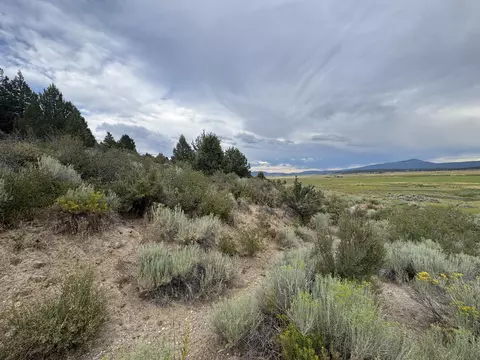 0 Clackamas St #16, Sprague River, OR 97639