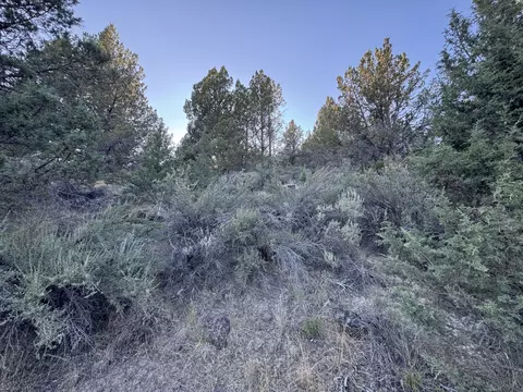 0 Wasco St #100, Sprague River, OR 97639