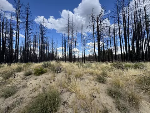 0 Shasta Fir Ln #9, Beatty, OR 97621