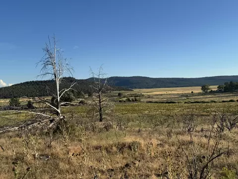 0 Curry St #129, Sprague River, OR 97639
