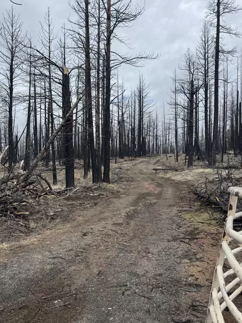 1100 Yellow Pine Rd, Bly, OR 97622