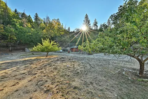 Exterior - 1193 Greenview Dr, Cave Junction, OR 97523 photo 5 of 7