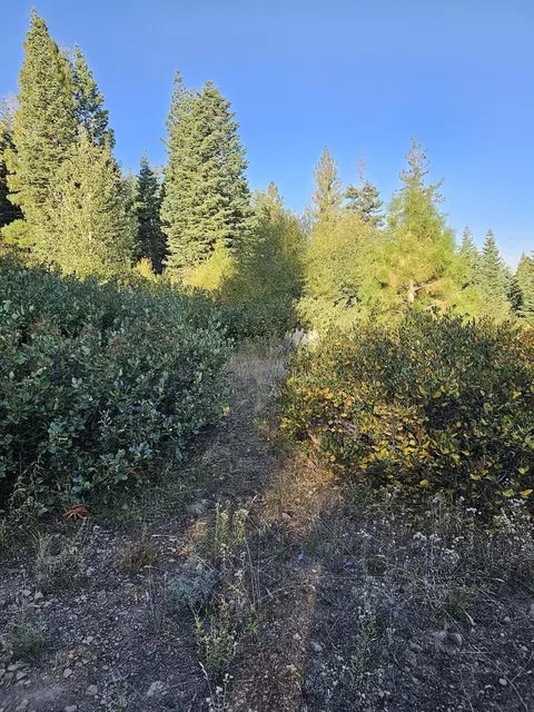 0 Undertimined, Lakeview, OR 97630