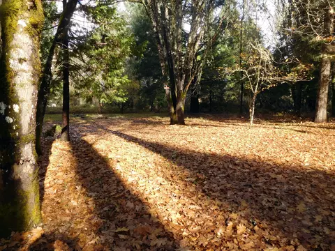 406 W Lister St, Cave Junction, OR 97523