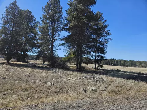0 Longhorn Loop #25, Chiloquin, OR 97624