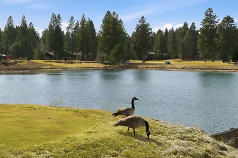 61734 Tam Mcarthur Loop, Bend, OR 97702 photo 16