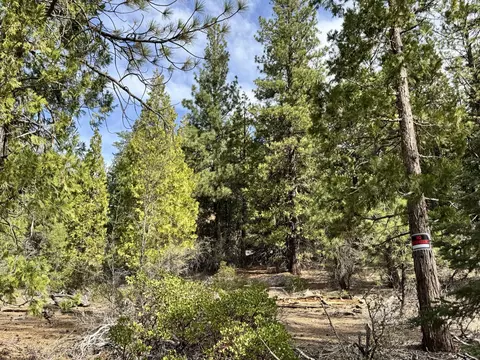 0 Whale Ln, Bonanza, OR 97623