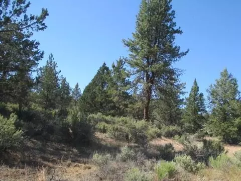 0 Little Fawn Dr #10, Chiloquin, OR 97624