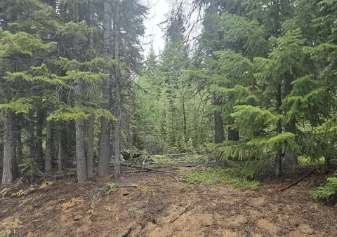 4 Royce Pine Rd, Crescent Lake, OR 97733