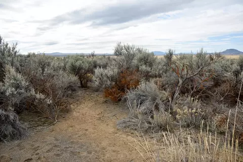 willa road, Christmas Valley, OR 97641