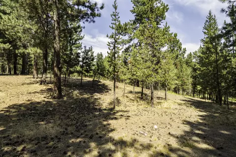 Exterior - 15730 Jackpine Rd, La Pine, OR 97739 photo 12 of 13