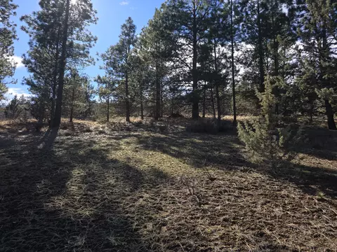 wilderness way, Klamath Falls, OR 97601