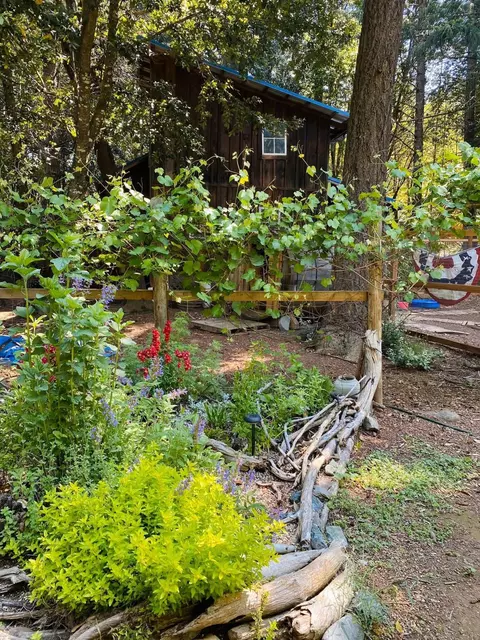 Exterior - 1259 Waldo Rd, O'brien, OR 97534 photo 2 of 14