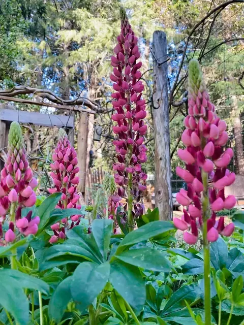 Other - 1259 Waldo Rd, O'brien, OR 97534 photo 1 of 12