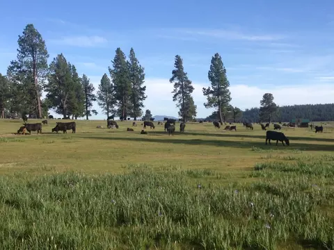 000 National Forest Developmen 49, Chiloquin, OR 97624