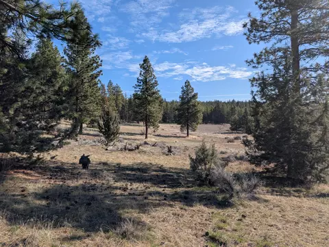 28660 Yonna Wood Rd, Bonanza, OR 97623