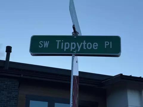 61175 SW Tippytoe Pl, Bend, OR 97702 photo 25