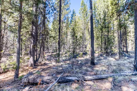 16948 Rosemead Rd, Bend, OR 97707 photo 13