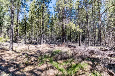 16948 Rosemead Rd, Bend, OR 97707 photo 5