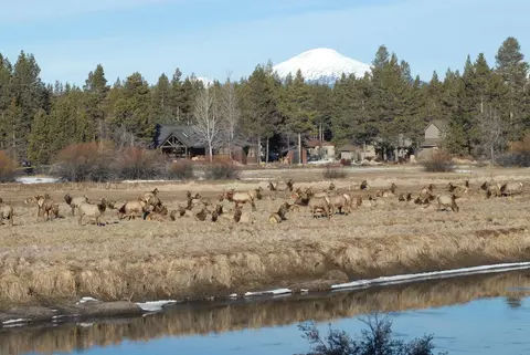 Other - 55635 Gatehouse Ln, Bend, OR 97707 photo 14 of 16
