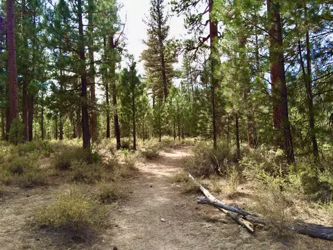 14165 Whitewater Loop, La Pine, OR 97739 photo 14