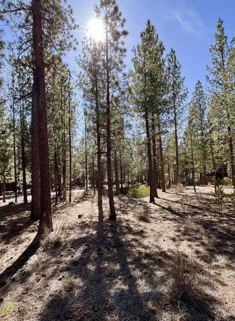 14165 Whitewater Loop, La Pine, OR 97739 photo 5