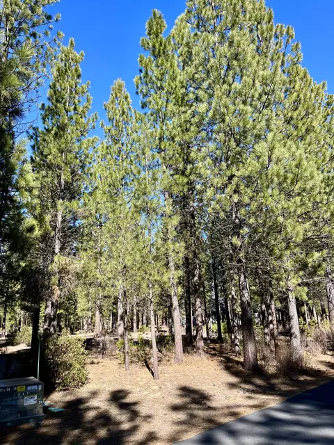 14171 Whitewater Loop, La Pine, OR 97739 photo 2