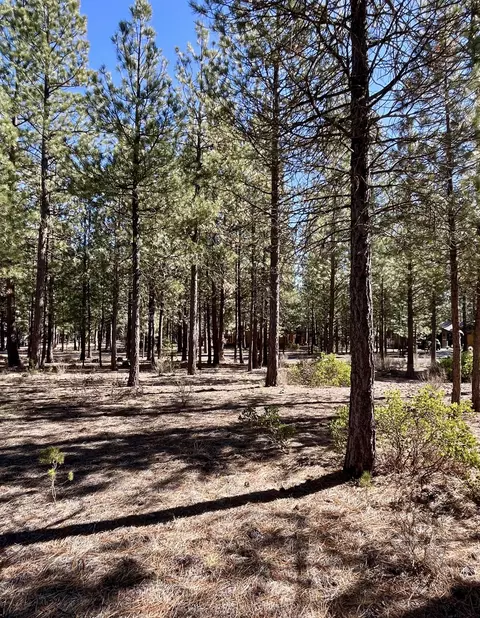 14171 Whitewater Loop, La Pine, OR 97739 photo 9
