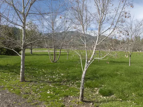 Exterior - 15902 Water Gap Rd, Williams, OR 97544 photo 25 of 33