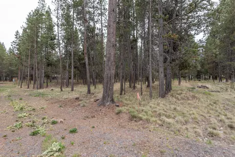 55534 Big River Dr, Bend, OR 97707 photo 14