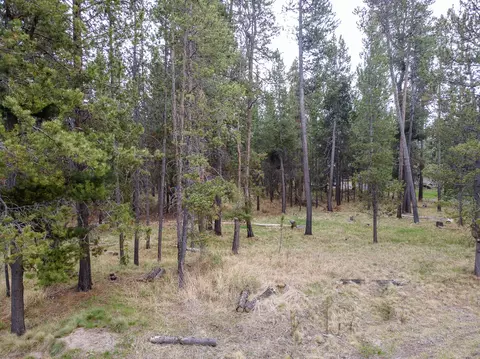 55534 Big River Dr, Bend, OR 97707 photo 18