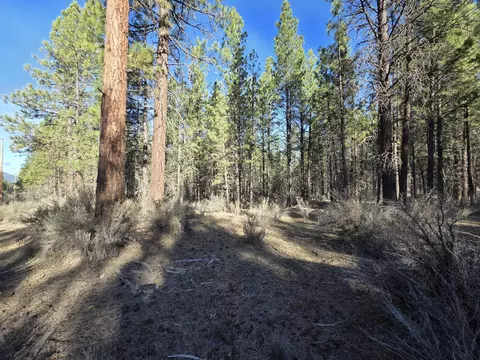 0 Grey Wolf Ln #LOT 7, Chiloquin, OR 97639