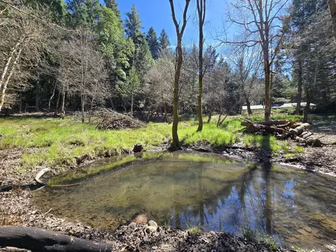 View/Area - 101 Cascade Dr, Cave Junction, OR 97523 photo 1 of 1
