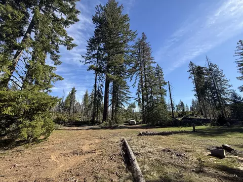 0 Swede Basin Rd #R325987, Selma, OR 97538