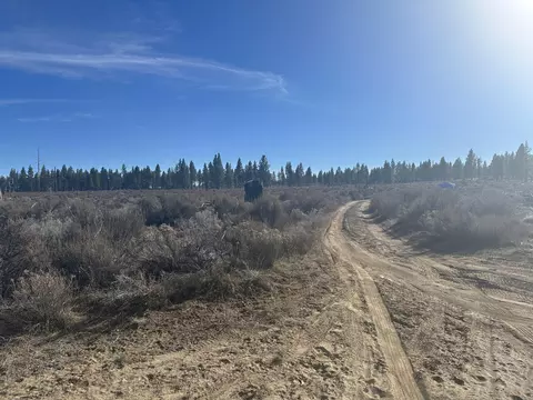 ruffed grouse lane, Sprague River, OR 97639