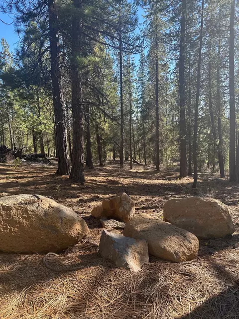 hwy 58 LOT 201, Crescent Lake, OR 97733