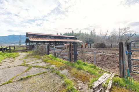 Exterior - 6795 Holland Loop Rd, Cave Junction, OR 97523 photo 13 of 31