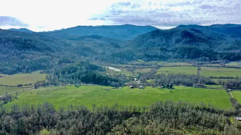 Other - 6795 Holland Loop Rd, Cave Junction, OR 97523 photo 4 of 10