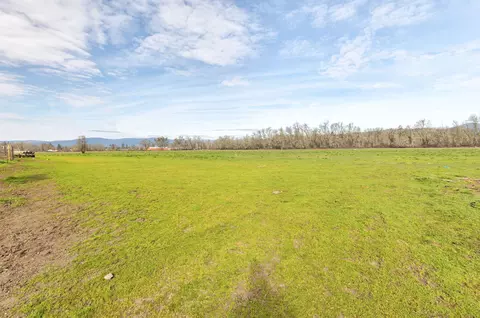 Exterior - 6795 Holland Loop Rd, Cave Junction, OR 97523 photo 18 of 31