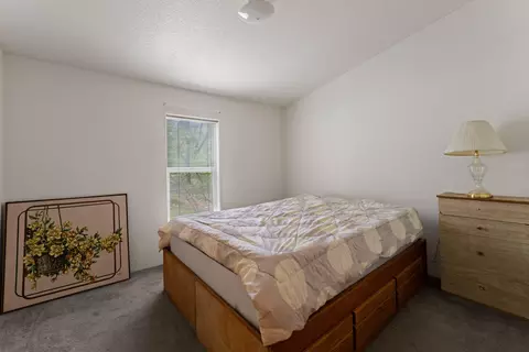 110 Falling Leaf Dr, Selma, OR 97538 photo 20