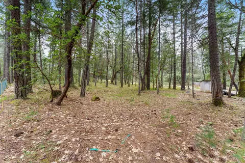 110 Falling Leaf Dr, Selma, OR 97538 photo 27