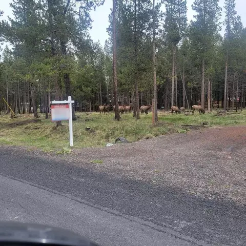 55540 Big River Dr, Bend, OR 97707