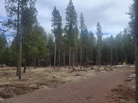 55540 Big River Dr, Bend, OR 97707 photo 8