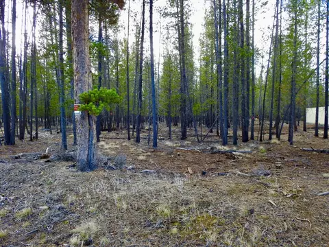 10100 Beechwood Drive #1, La Pine, OR 97739 photo 6